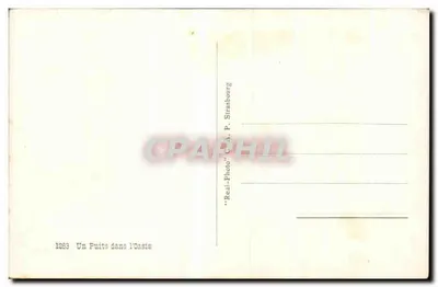Um poço na Oasis — Bilhete postal antigo P. Strasbourg — n° 1263 — Verso