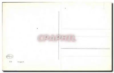 Kwiaty gladioli — kompozycja kwiatowa — Amag Import, n°33 — Rewers