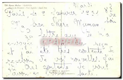 Flores de pereiro — Pyrus Malus — editor Paris, n° 734 — Verso