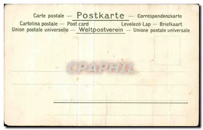 Kwiaty wiosenne — snowdrops, primroses i orzechy — seria 6 — Rewers