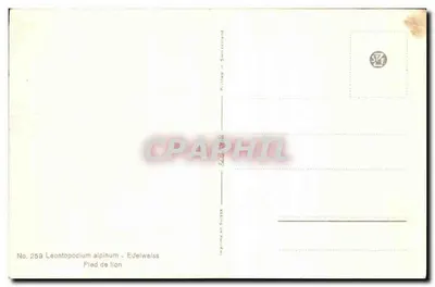 Edelweiss — Leontopodium alpinum — Impresso na Suíça, n° 259 — Verso