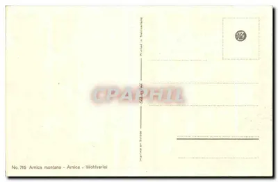 Arnica montana — flores amarelas em buquê — edição STF, n° 715 — Verso