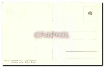 Gentiana lutea - Gentiana Amarela — Série 794, impressa na Suíça — Verso