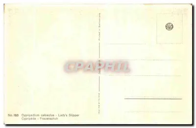 Cypripedium calceolus - Lady's Slipper — Impresso na Suíça, n°193 — Verso