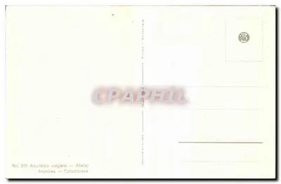 Aconitum — Aquilegia vulgaris — n° 371 — Verso