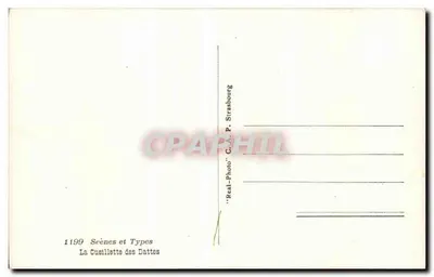 La Cuisillette delle Date — Scene e Tipi n°1199 — C.A.P. Strasbourg — Verso