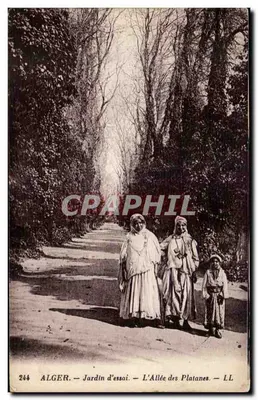 ALGER — Jardim de Ensaios — A Avenida dos Plátanos — LL