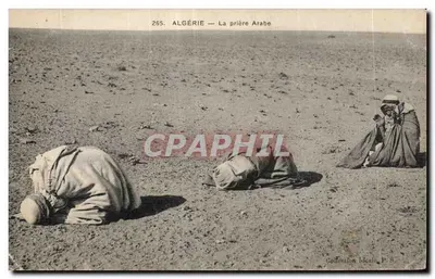 Algérie — La prière Arabe — Collection Idéale, n° 265