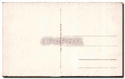 Neustadt an der Haardt — widok panoramiczny — Verlag von Emil Hartmann, Mannheim — Rewers