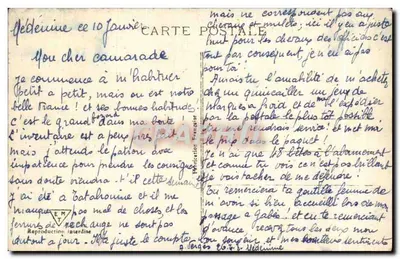 Na Oásis — vista de um canal cercado de palmeiras com um cavalo e um mulo — editor desconhecido, n° 95 — Verso