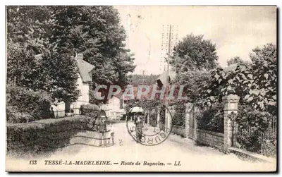 Tessé-la-Madeleine — Estrada de Bagnoles — LL — n°133