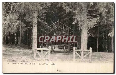 Floresta de Bellême — La Herse — LL