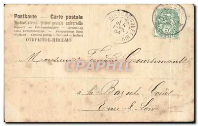 Dwa szczeniaki białe — fotogravura — H. W. Couldeny, seria N° 6013 — Rewers