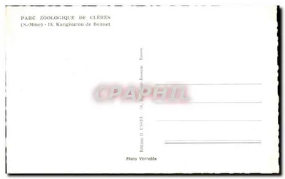 Canguru de Bennet — Parque Zoológico de Clères — Edição R. Jusseï - 76 Baugé-sur-Roanne — Verso