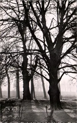 Het Botanische Tuin — La Madeleine (Nord) — Foto H. Solier