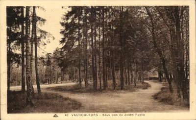 Vaucouleurs - Sob a floresta do Jardim Público — edição Mailly Vaucouleurs, n°49