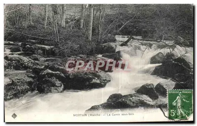 MORTAIN (Manche) — La Cance sous-bois