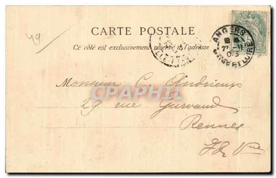 Muzeum w Angers — Galeria David — Souvenirs animal — Rewers