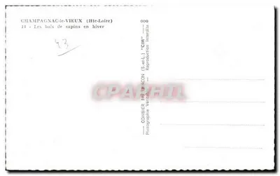 샹팡나크 레비유 (오트-루아르) — 겨울의 소나무 숲 — 코미에르 (S.-et-L.) — 뒷면