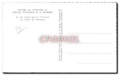 L'uscita del gregge — La vita rurale nel Cotentin — Studio Bazire-Mas, la Paix, d. la Manche — Verso