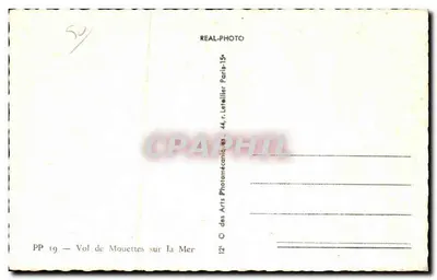 Vol di Gabbiani sul Mare — PP 19 — Editore: C. des Arts Photomécaniques, Parigi — Verso