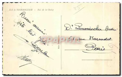 Ilha de Noirmoutier — Bosque de La Chaize — Édit. Delhonzeau — Verso
