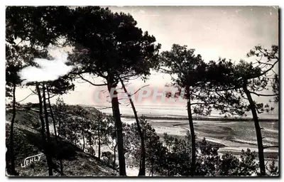 Cảnh quan dunes của La Tranche-sur-Mer — La Belle Henriette — JEHLY