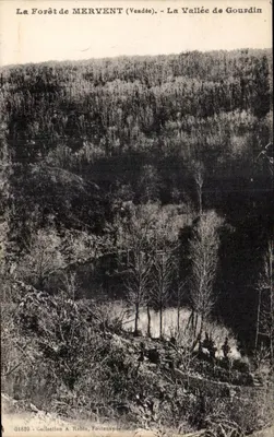 A Floresta de MERVENT (Vendée) — A Vale de Gourdin — Coleção A. Robine, Fontenay
