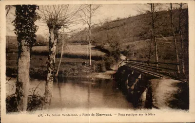 Floresta de Mervent — Ponte rústica sobre a Mère — Fototipia Jehly-couplia - Mortagne