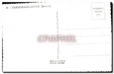 Floresta de pinheiros — Quend-Plage-les-Pins (Somme) — Éditions Gaby — Verso