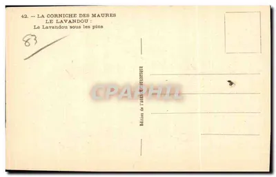 Le Lavandou pod sosnami — La Corniche des Maures — Wydawnictwo Agencji Turystycznej — Rewers