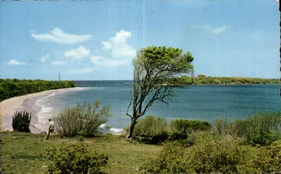 Le Sud de l'île : Plage des Salines et îlet Cabrits — Couleurs Naturelles, n°43