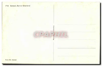 Gstaad, Berner Oberland — widok z powietrza na domy i zamek — Foto Fäh, Gstaad, seria F15 — Rewers