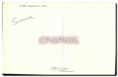 Maultierpost w Walisie — Szwajcaria — Thom & Eyder - Aedeloden — Rewers