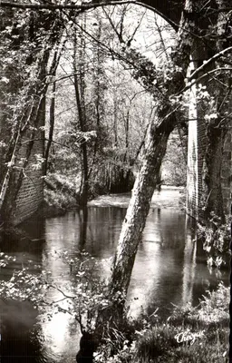 O Ponte de la Besse — Arredores de Saint-Mathieu — Éditions Théojac