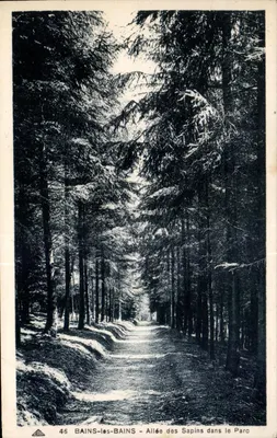 BAINS-les-BAINS — Avenida dos Pinheiros no Parque — editor APAPHIL, n° 46