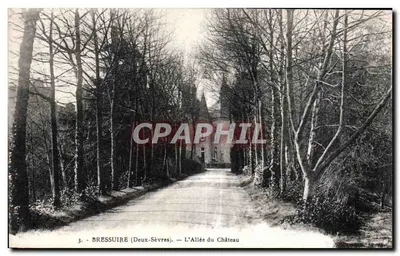 BRESSUIRE (Deux-Sèvres) — A Avenida do Castelo — Phototype Jéhly-Poupée-Mortagne