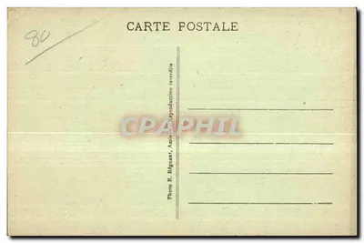 Monflières - L'Albero otto volte secolare di Notre-Dame — Verso