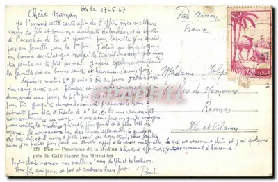 Panorama van de Medina — Fès — genomen vanaf het Café Maure van de Mérinides — Cap — Achterkant