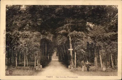 Bilhete postal antigo Wassy Les Grandes Promenades
