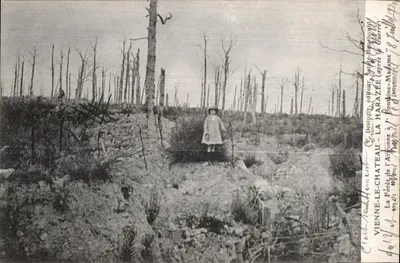 Floresta da Avonne — após a Guerra — editor Desingy, La Harazée