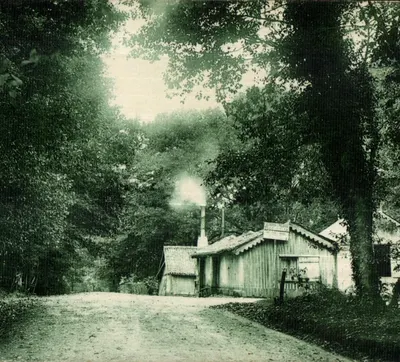 Floresta de Mervent — Restaurante da Gruta — Edição artística R. Bergovin, n° 4906