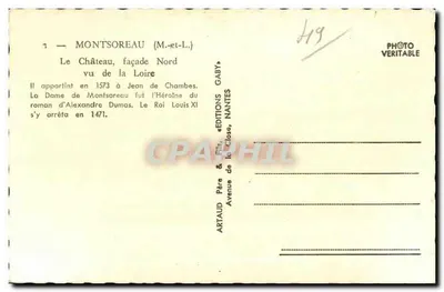 Montsoreau — Zamek, fasada Północna widziana z Loary — Gaby — Rewers