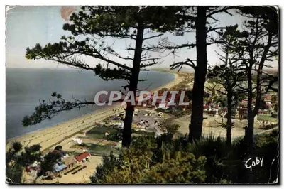 Carolles (Manche) — A Praia Através dos Árvores — Éditions Gaby
