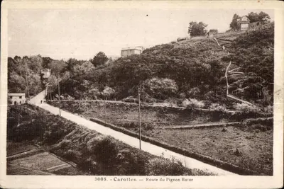 Carolles — Route du Pignon Buitor — n° 3005