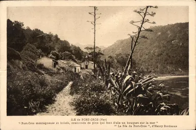 Île de Port-Cros — paisagem montanhosa e florestada — Édition d'Art Yvon, Palis