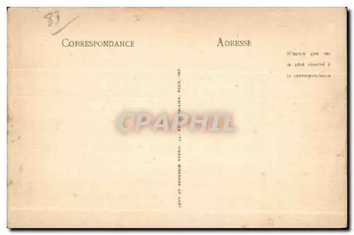Saint-Raphaël - Pins Parasols — LL. — Verso
