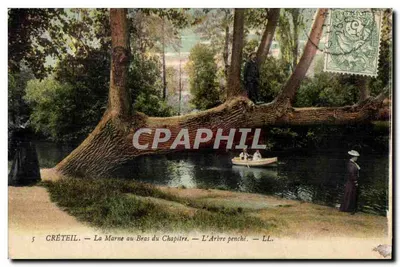 Créteil — A Marne no Braço do Capítulo — A Árvore Inclinada — LL.