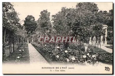 Roserai de L'Hay (Seine) — Uma Avenida — editor não identificado, n° de série 71