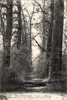 Chaville — Floresta de Meudon — Sob a Floresta perto do Lago Colin-Porcher — E.M.